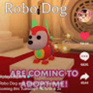 Meet your Posher, Dani